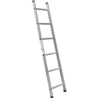 Лестница 1-секционная алюминиевая TOR SC1006 
1*6 приставная